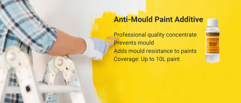 Anti-Mould Paint Additive